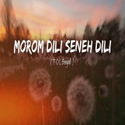 Morom Dili Seneh Dili - Jogaji Thakor, Ramila Solanki Mp3 Song