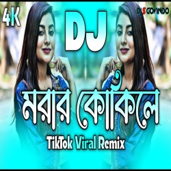 Amar Ghum Vangaiya Gelo Re Morar Kokile Dj (RemiX) - DJ S Govindo Mp3 Song
