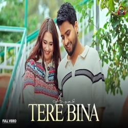 Tere Bina - Angad Mp3 Song