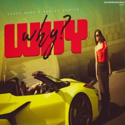 WHY - Jodha Mann Mp3 Song
